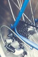 Bike Circuit Rear