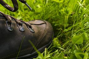 brown Shoes green grass