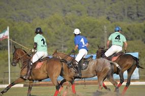 Horse Sport
