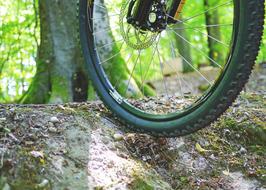 wheel of Mountain Bike on ground in forest