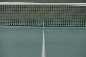 Table Ping-Pong and net