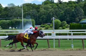 horse speed race