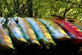 Canoeing Boat colors