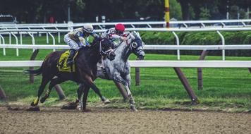 Horse Race Game speed