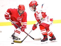 young hockey captains with sticks on ice