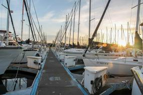 white Yachts Sail Sea