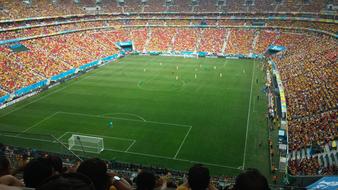 Stadium Football green Field