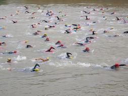 Competition Crawl Involved people