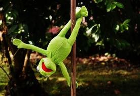 Pole Dance Kermit Funny Soft frog