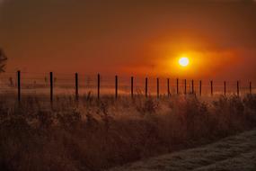 red sun over the meadow in the morning