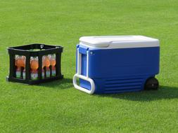 portable fridge and a drawer with drinks on the lawn