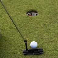 Golf Ball grass