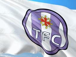 Football International tfc flag