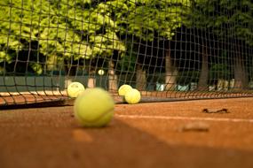 Tennis Network and yellow balls
