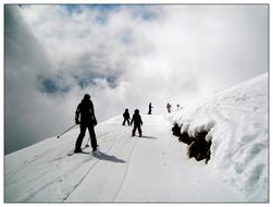 Skiers Skiing people snow