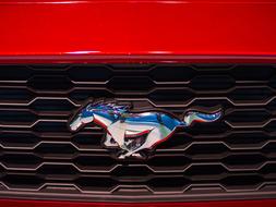 Ford Mustang Shelby logo horse