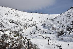 Beautiful mountains with plants in snow on the landscape