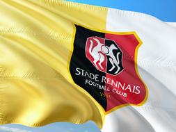 Football International France yellow white flag