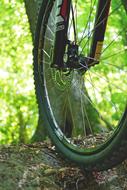 Close-up of the wheel of a mountain bike, among the beautiful green plants in light