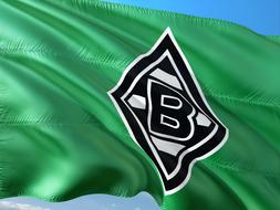 soccer green flag of borussia
