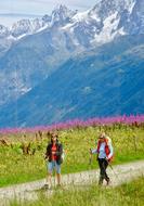 hiking in the summer alps
