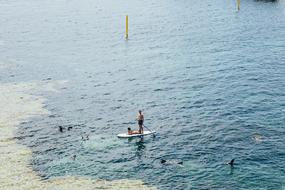 sport on a board with a paddle
