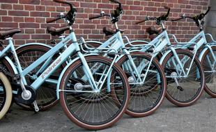 Bicycles Rental Bikes