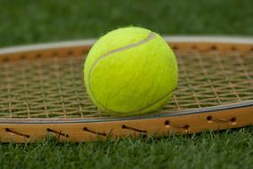 Tennis Ball on Racket on grass