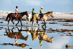 People on the colorful and beautiful horses, on the beach ride, with the reflections in the water