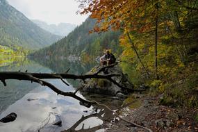man river forest