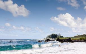 people in waves on the picturesque coast