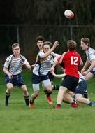 Rugby players, on the green field, with the ball, on the competition