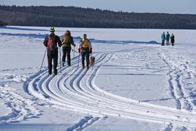 Skiing on Frozen Lake Siljan