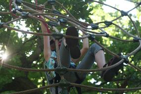 Person, climbing on the forest, among the beautiful, green trees of the forest, in light