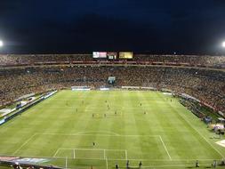 Soccer Football Field green