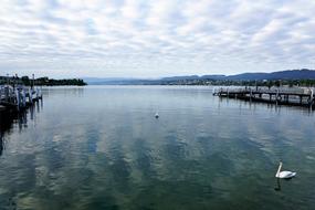 lake in City Europe Zurich
