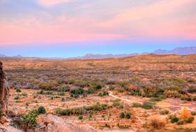 Beautiful landscape of the desert of Big Bend National Park, with plants, at colorful dusk, in Texas, America