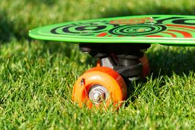 Colorful skateboard, with the orange wheels, among the colorful grass, in light