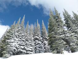 British Sun Peaks Ski Resort