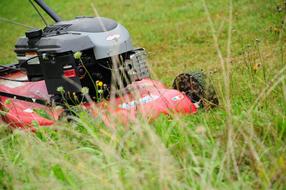Lawn Mower on Grass