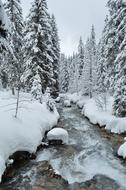 Beautiful, snowy Alps with trees, and stream in Haute-Savoie, France