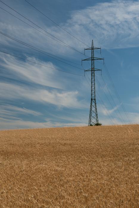 Mast Electric and dry grass