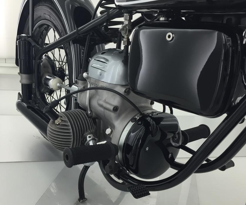 Close-up of the beautiful, black boxer of the black motorbike