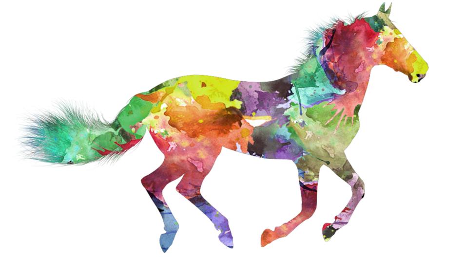 colorful horse silhouette