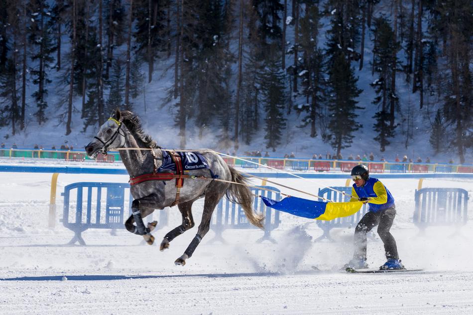 horse skijoring