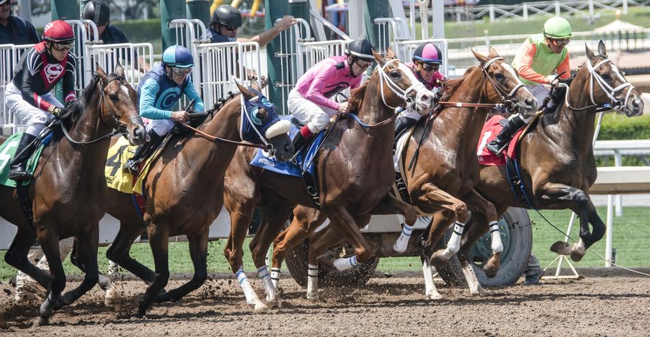 exciting Horse Race