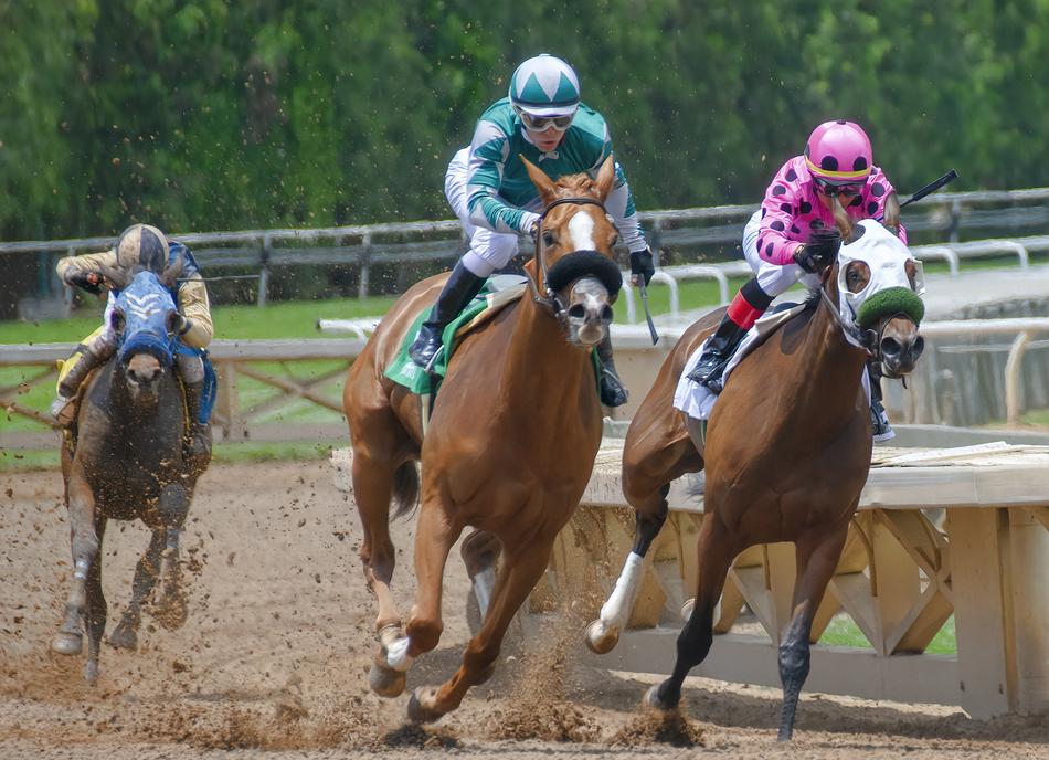 speed Horse competition
