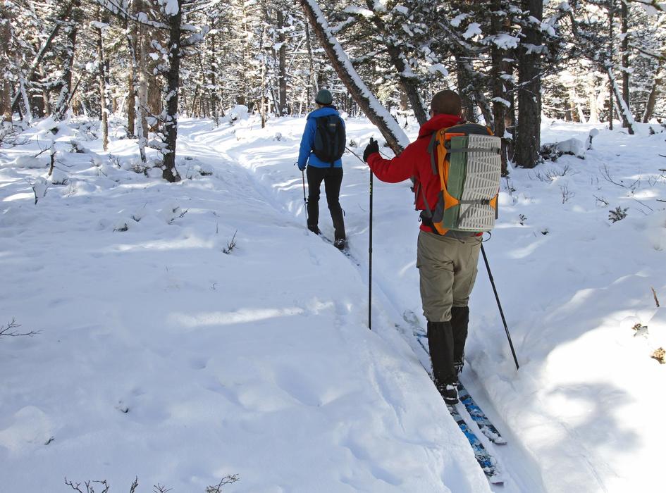 Skiers Cross Country