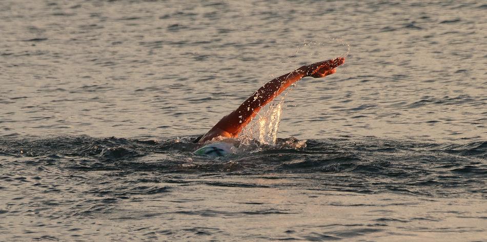 Swimmer, swimming in the beautiful lake, with the ripple, in the colorful dusk