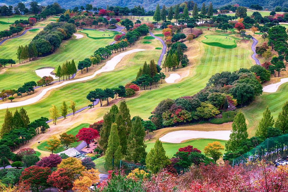 painted golf course with decorative trees